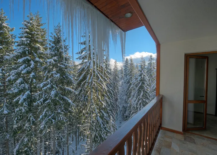 Hotel Mpm Family Merryan 3*